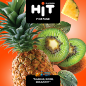 Табак BlackBurn HIT Pine Punk (Ананас Киви Эвкалипт) 30г Акцизный